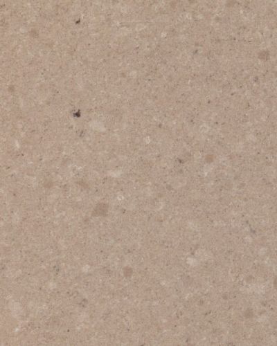 Quartzforms Ammonite