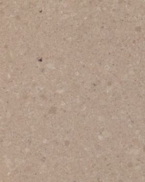 Quartzforms Ammonite