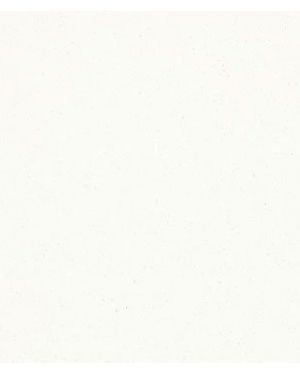 Caesarstone Collection 1141 Pure White