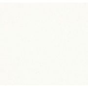 Caesarstone Collection 1141 Pure White