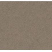 Caesarstone Collection 4330 Ginger