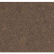 Caesarstone Collection 4350 Mink
