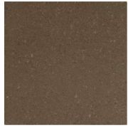 Caesarstone Collection 4360 Wild Rice