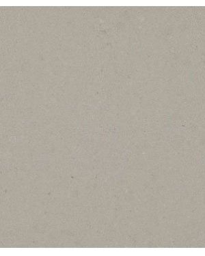 Caesarstone Collection 4004 Raw Concrete