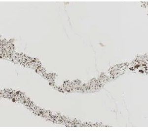 Cambria Collection Annicca