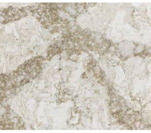 Cambria Collection Beaumont