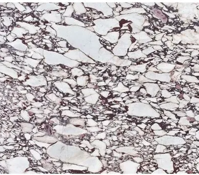 Marble Calacatta Viola